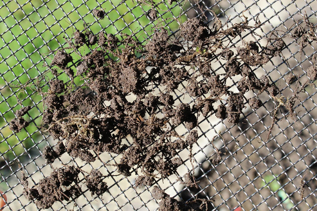 Cómo se realiza una criba de tierra