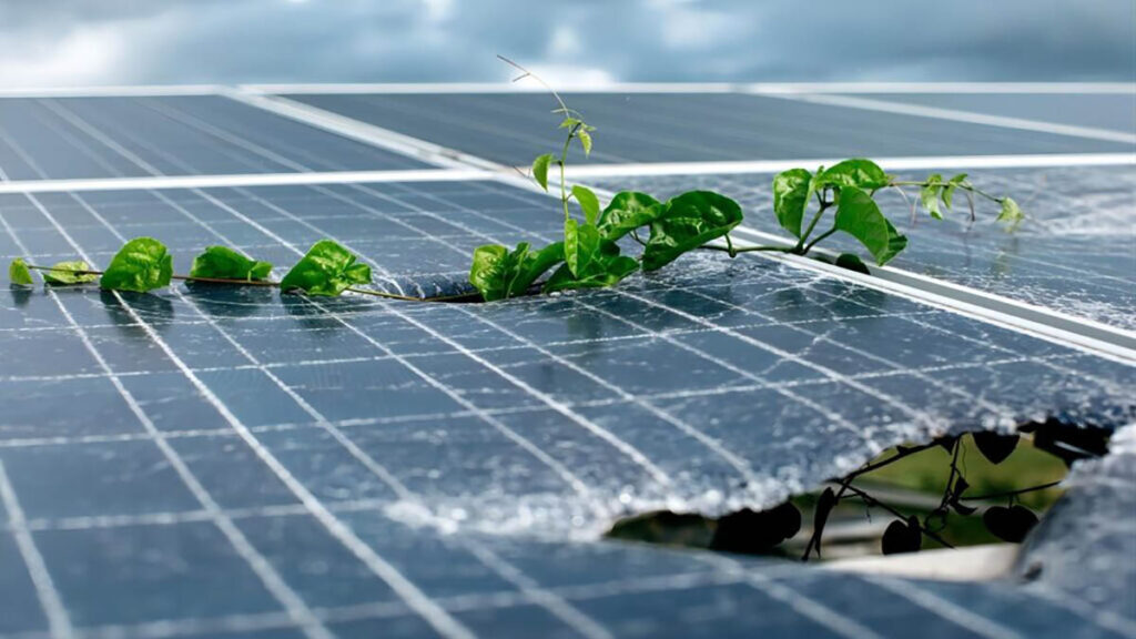 Por qué es importante reciclar los paneles solares