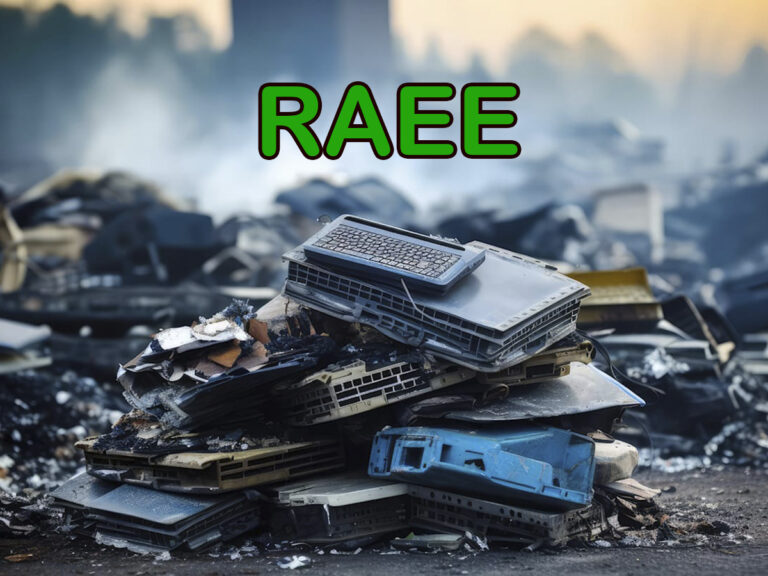RAEE qué es