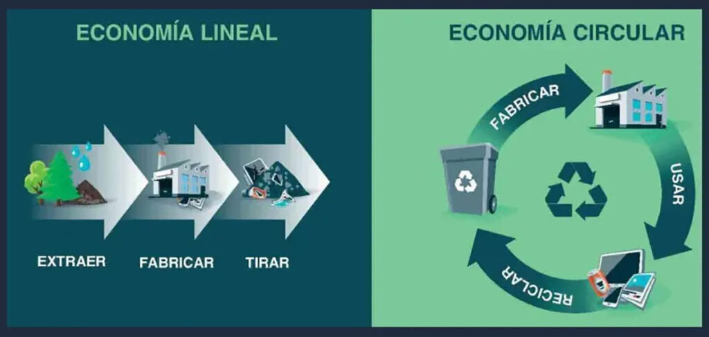 Cuáles son las diferencias entre la economía lineal y circular