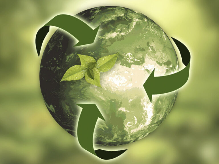 Qué es la economía circular y cómo afecta a las empresas