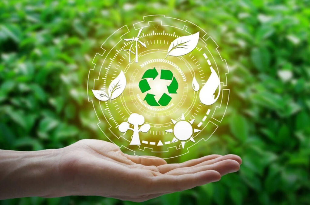 Apóyate en expertos para conseguir tus objetivos