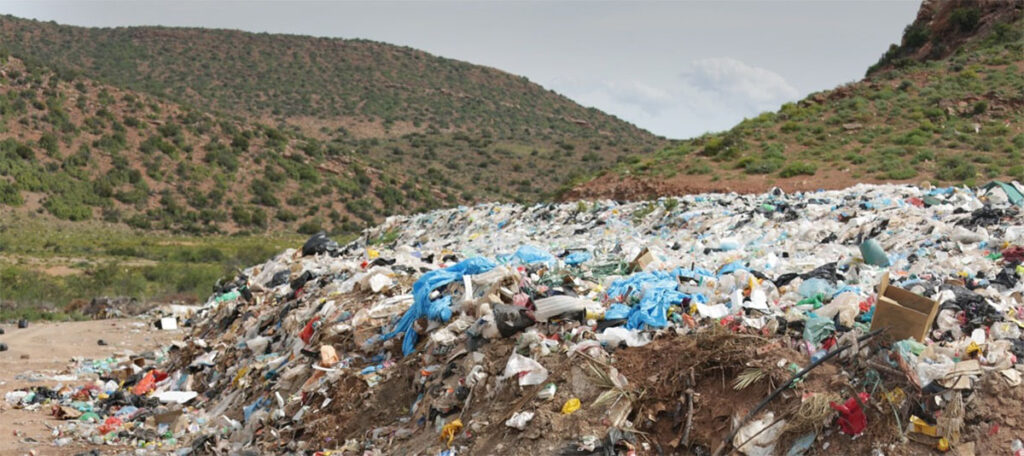 Qué es la Ley 7 2022 y por qué importa