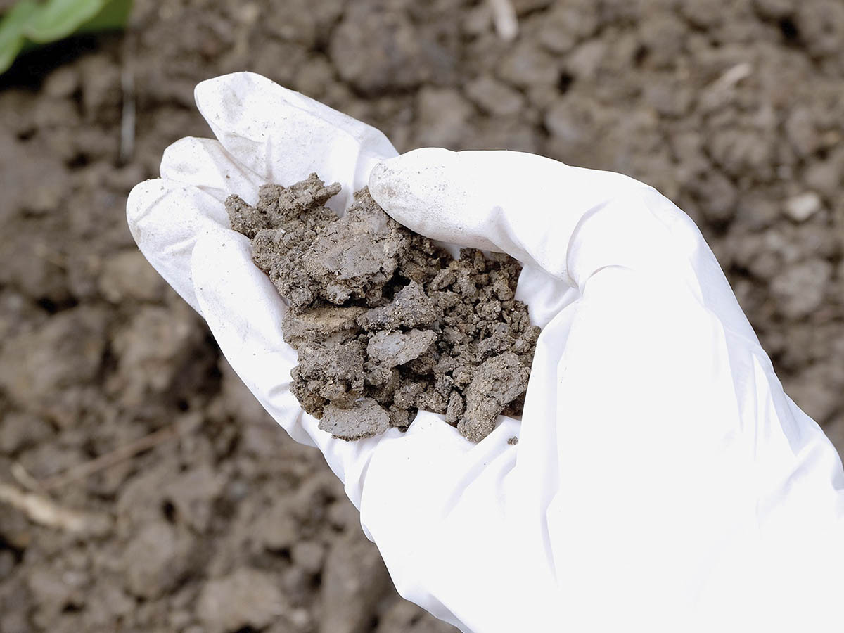 Descontaminación de suelos industriales proceso completo y normativa ENAC