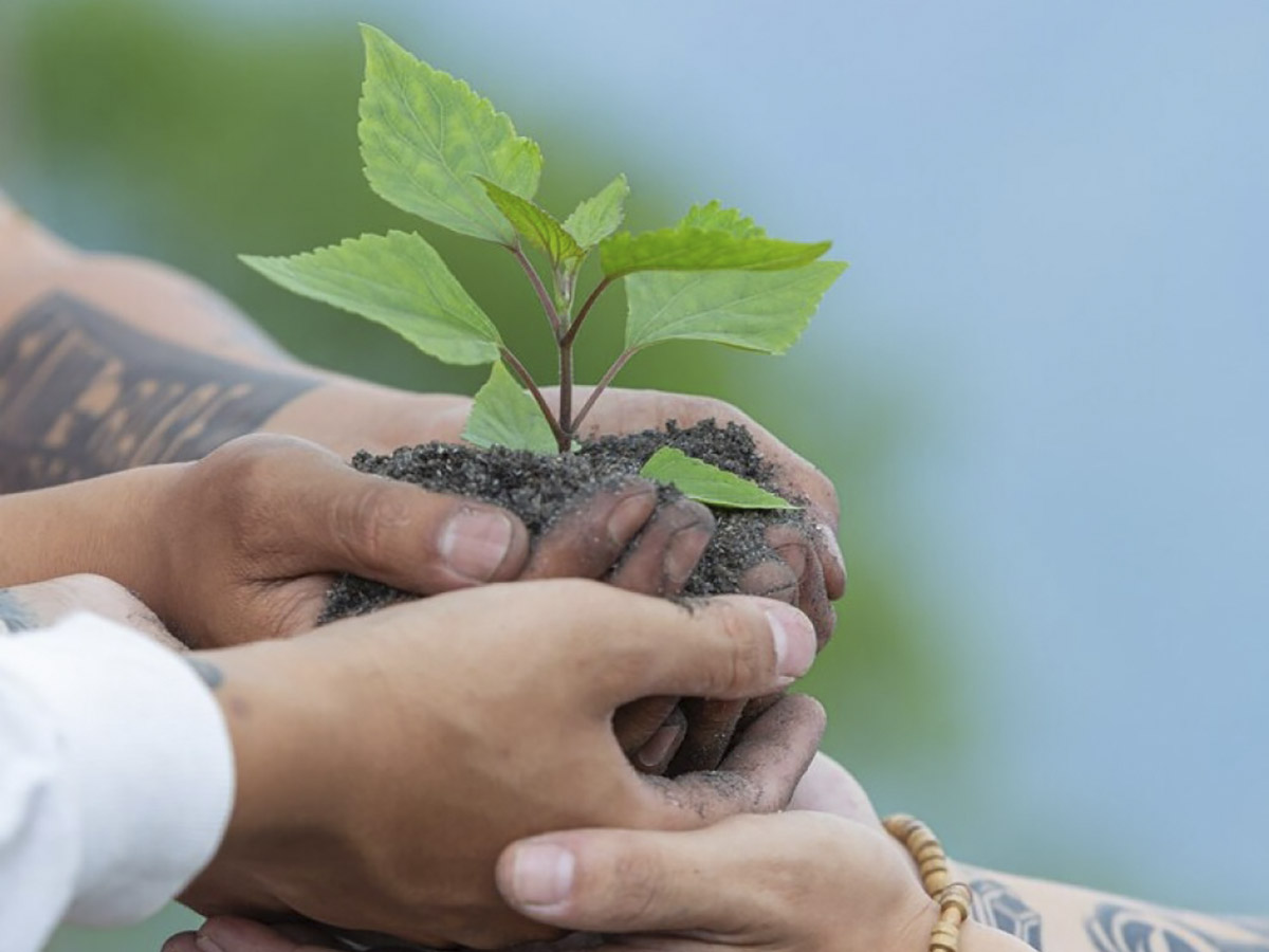 Evaluación del impacto ambiental de plantas de tratamiento de residuos