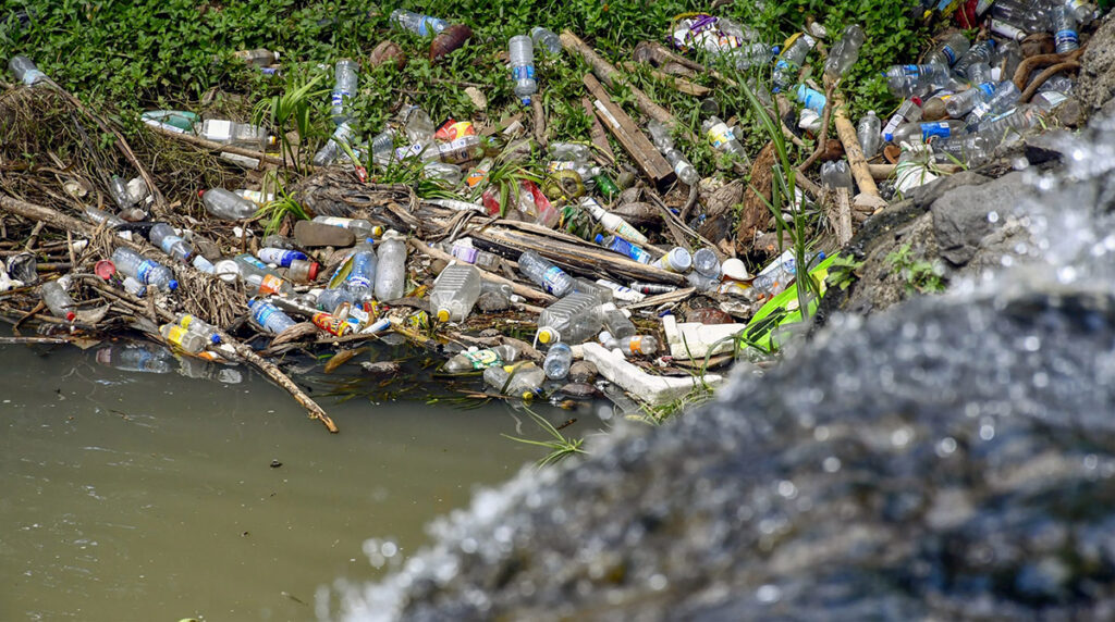 Tipos de infracción más habituales