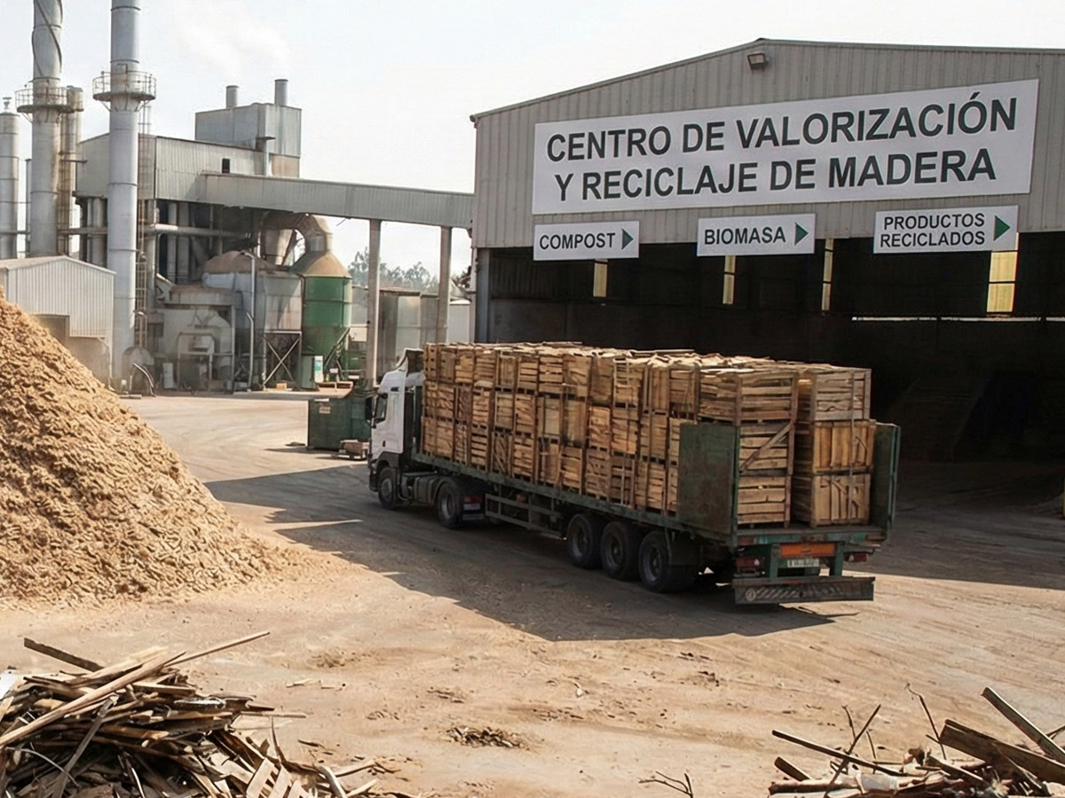 Residuos de madera clasificación, valorización y opciones de reciclaje rentables