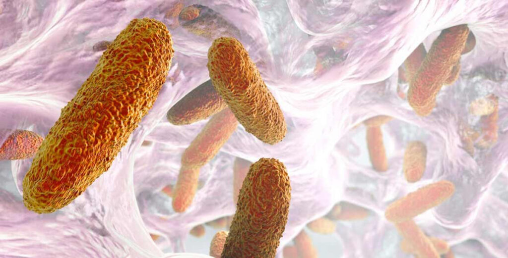Qué es el biofilm