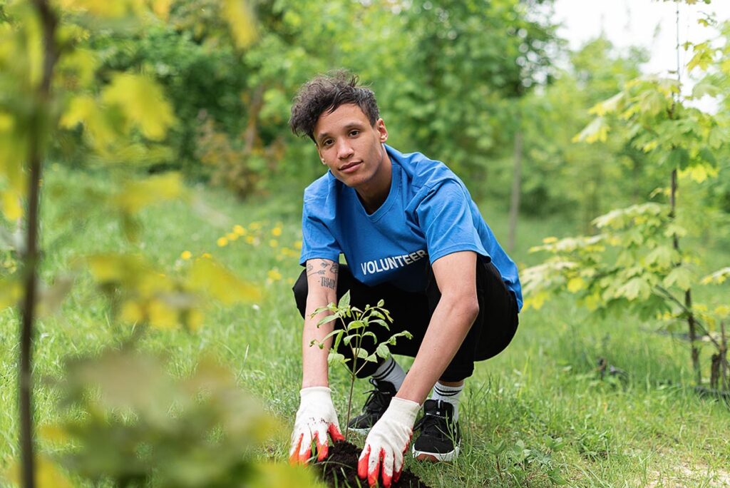 A qué distancia debe plantarse un árbol de una tubería