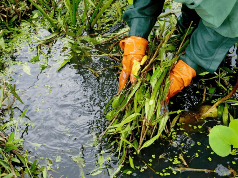 Limpieza de balsas y depósitos agrícolas al terminar la campaña de riego